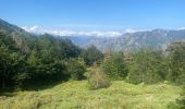 Tour Wandern Vivario - Vizzavone Col de Verde - Photo 12