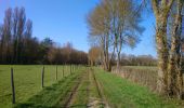 Trail Walking Azay-sur-Indre - Azay-sur-Indre - GR46 PR Chambourg-sur-Indre - 18.2km 200m 2h55 (23mn) - 2021 03 06 - Photo 7