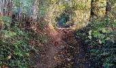 Trail Walking Olne - Balade des grès de Vaux   - Photo 7