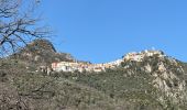 Percorso Marcia Bonsone - Plan du Var-Tourrette du Château  - Photo 2