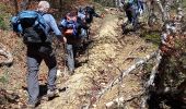 Tour Wandern Val-de-Chalvagne - Les Cougnas Col du Buis Ubraye - Photo 8