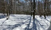 Trail Walking Simmerath - Einrhur 23 km - Photo 19