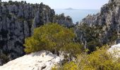 Randonnée Marche Cassis - De cassis à luminy (Marseille) - Photo 10