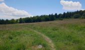 Tour Wandern Schönenberg - Tour du Champ du Feu - Photo 15