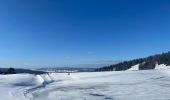 Randonnée Raquettes à neige Métabief - Les hauteurs de Metabief - Photo 3