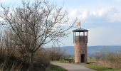 Percorso A piedi Steinau an der Straße - Steinauer Hochgefühl ( Spessartfährten ) - Photo 8