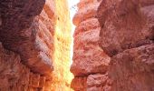 Excursión Senderismo Unknown - 2024 Bryce Canyon Queen's Trail - Photo 11