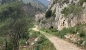 Trail Walking Roquevaire - Garlaban  - Photo 12
