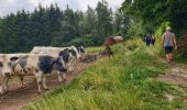 Randonnée Marche Onhaye - Balade de Falaën à Sosoye - Photo 7