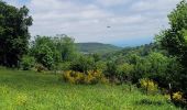 Percorso Marcia Besse-et-Saint-Anastaise - 270522 Besse / Chambon - Photo 7