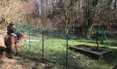 Trail Horseback riding Fougerolles-Saint-Valbert - Balade 1h vers chez le poix - Photo 7