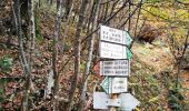 Percorso A piedi Mandello del Lario - Sentiero 14: Rongio - Buco di Grigna - Photo 6