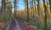 Randonnée Marche Couvin - Balade à Petigny - Photo 1