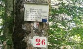 Trail Walking Sainte-Marie-aux-Mines - rocher des chèvred - Photo 13