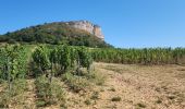 Tour Wandern Solutré-Pouilly - roche de soluté, roche de Vergisson - Photo 6