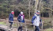 Trail Walking Daverdisse - Porcheresse  - Photo 19