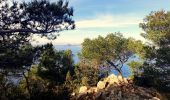 Excursión Senderismo Bandol - Boucle Bandol - Port d'Alon - Dune de sable - La Madrague - Port d'Alon - Bandol - Photo 15