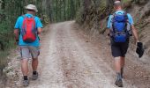 Trail Walking Le Malzieu-Ville - LE MALZIEU - APCHER  - Photo 18