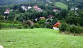 Tour Zu Fuß Gemeinde Klosterneuburg - Kritzendorf-Hadersfeld über Hoheneggersteig - Photo 8