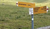 Trail On foot Schangnau - Innereriz - Kemmeribodenbad - Photo 6