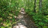 Trail Walking Bouville - Bouville - Photo 10