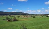 Tour Wandern Bonlieu - GR_559_AD_04_Bonlieu_Grande-Riviere-Chateau_20210917 - Photo 3