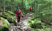 Randonnée Marche Montriond - Lac de Montrillon  sous la pluie - Photo 12