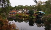 Trail Walking Woking - Ballade le long du canal - Photo 4