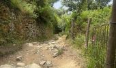 Trail  Vernazza - Cinq ter jour deux corniglia>>  riomaggiore - Photo 11