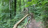 Trail Walking Ernzen - Balade Ernzen Allemagne  - Photo 2