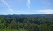 Randonnée Marche Septmoncel les Molunes - 190624 - Jura.2 - Montépile  - Photo 9