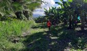 Randonnée Marche Basse-Pointe - Boucle Tapis vert - Anse Chalvet (SLNA) - Photo 17