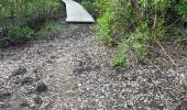 Tocht Noords wandelen Sainte-Anne - Trace des baies cap chevalier - Pointe Marin  - Photo 2