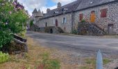 Randonnée Marche Mauriac - le trou du loup - Photo 7