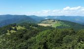 Percorso Marcia Bourbach-le-Haut - Col du Hundsruck Col de Rimbach - Photo 2