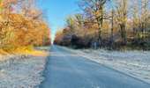 Randonnée Marche Saint-Jean-aux-Bois - en forêt de Compiègne_44_sur les Routes du Moulin et de Berne - Photo 15
