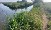 Tocht Trail Saint-Joachim - Le Marais de Brière - Photo 2