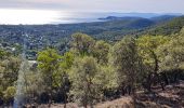 Excursión Ruta Cavalaire-sur-Mer - cavalaire, le dattier par les DFCI - Photo 7