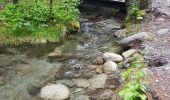 Randonnée Marche Chamonix-Mont-Blanc - Les Tines Argentière par l'Arve - Photo 16