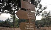 Tocht Stappen Saint-Raphaël - massif de l'Esterel : autour des grues  - Photo 8