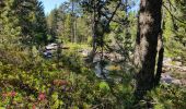 Excursión Senderismo Bolquère -  Bolquère .Petit Canada Pla de Barrès - Photo 9