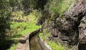 Randonnée Marche Prazeres - Levada Nova - de Prazeres a Calheta - Photo 2
