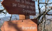 Trail Walking Courmes - Courmes  - Photo 5