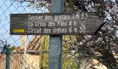 Trail Walking Aups - Aups - ND de Liesse - Photo 1