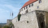 Tour Zu Fuß Freyburg (Unstrut) - Panoramaweg Haineberg - Photo 9