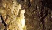 Tour Andere Aktivitäten Dinant - grotte la merveilleuse  - Photo 11