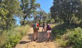 Trail Walking Bormes-les-Mimosas - Bormes les Mimosas les 3 cols fait - Photo 5