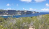 Tocht Stappen Anse-Bertrand - Porte d'Enfer - Pointe du Souffleur - Photo 1