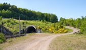 Tour Zu Fuß Willebadessen - Willebadessen Rundweg A7 - Photo 7