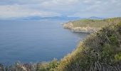 Tocht Stappen Hyères - Presqu'ile de Giens - Photo 8